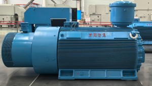 newYX3高效率高压三相异步电动机